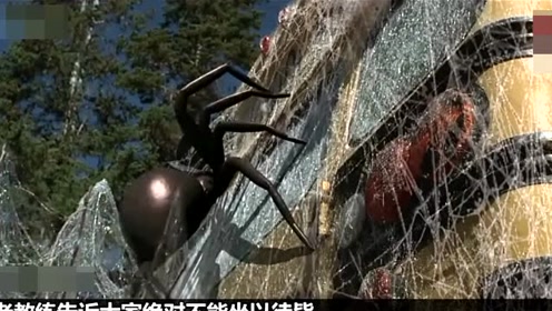 腾讯视频