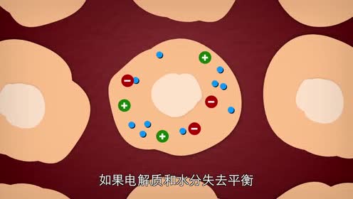 skins为你解读电解质
