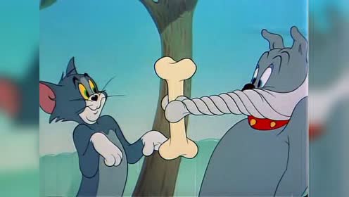猫和老鼠:杰瑞鼠复仇记!杰瑞鼠整蛊不断,汤姆猫一脸生无可恋