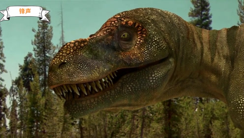 颠覆你的印象:霸王龙可能是像鬣狗一样的食腐动物