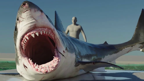 3d电影鲨鱼的特效制作过程