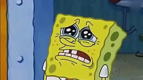 海绵宝宝:海绵宝宝这一哭,章鱼哥的家是要惨了!