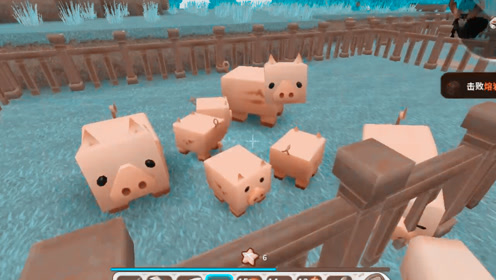 五花肉实况-迷你世界-p11小猪猪出生了