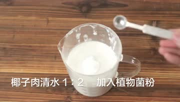 自制椰奶和椰奶优格（纯素）