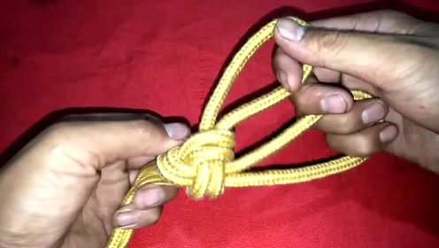 鸡爪结农村常用来套牛套马