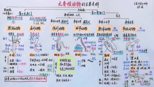 腾讯视频