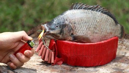国外牛人太优秀,用鞭炮炸鱼吃,点火的瞬间,场面太尴尬