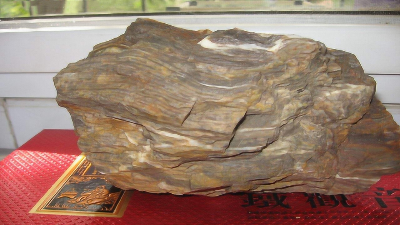 木化石(释义)_搜狗百科