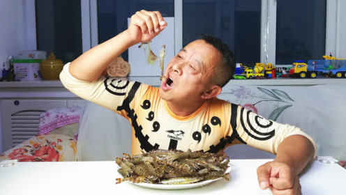 老头命挺硬!70元1斤的基围虾直接扒着吃,吃完还给老伴献殷情