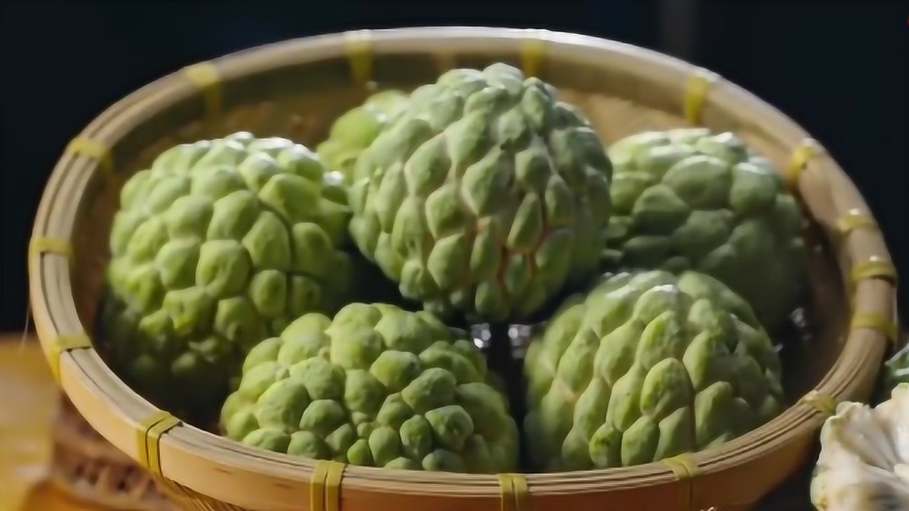 番荔枝(番荔枝科番荔枝属植物)_搜狗百科