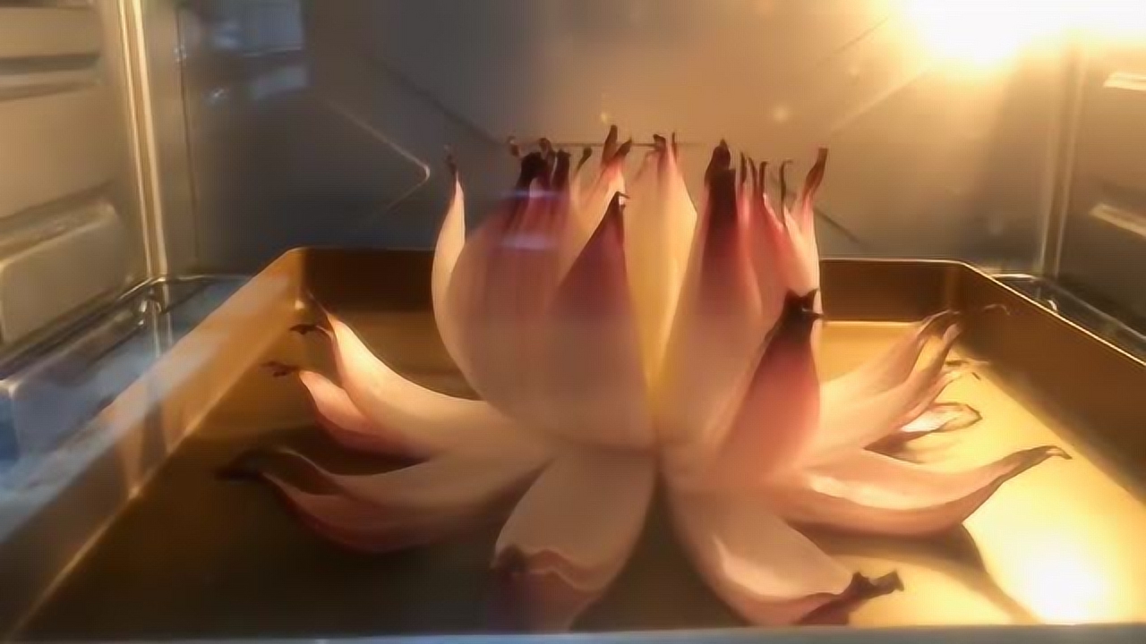 下一个 打开循环播放 100