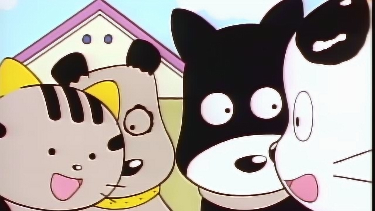 快乐猫咪乐趣多 圆圆和它的朋友们