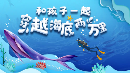 7珊瑚是动物还是植物呢 美丽的海洋景观珊瑚海 和孩子一起穿越海底两万里 1080p在线观看平台 腾讯视频
