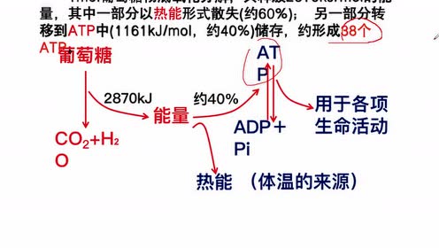 腾讯视频