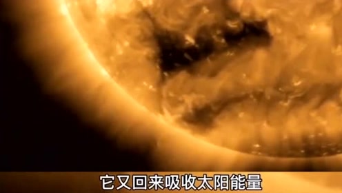 太阳是UFO的能量补给站？比地球还大的太阳UFO！