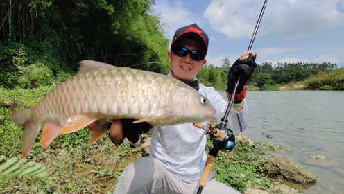 lureleader 领峰路亚|杨博解锁海南溪流军鱼