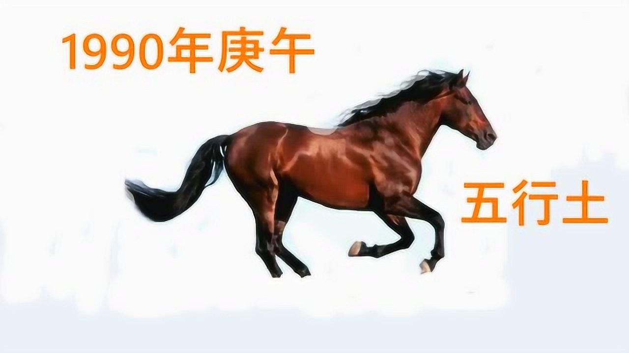 马 十二生肖之一 搜狗百科