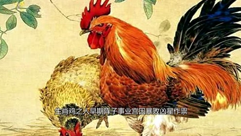 未来贵子 腾讯视频