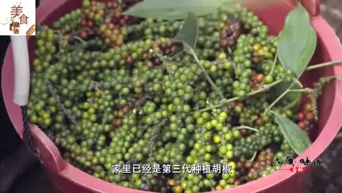 白胡椒粉的功效 腾讯视频