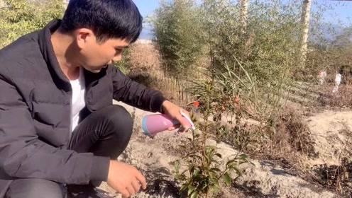 鳳芳野 腾讯视频