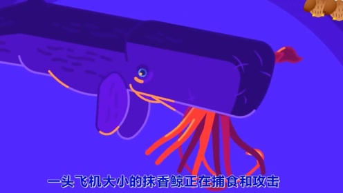 巨型乌贼 腾讯视频