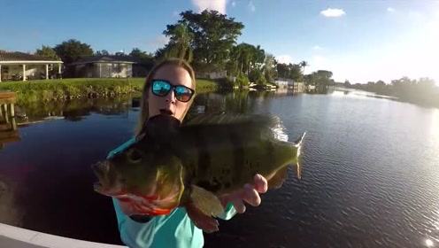 【vicky stark】2019年的开杆之旅!