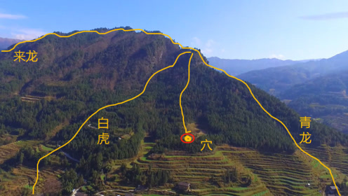 此地气势如猛虎下山,来龙万里,青龙白虎左右护穴,明堂格局少见,风水宝