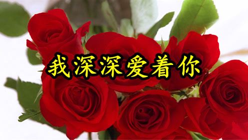 情歌mv:《我深深的爱你》为你苦一点我也愿意,把你藏在我心里