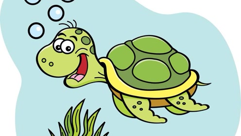 0:06:22小海龟历险记时 间:2020-02-18上传者:超学科星球简 介:hello