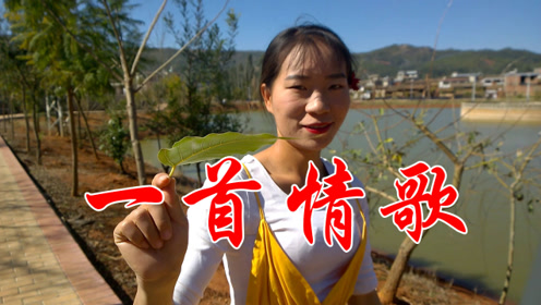 一首感人情歌《留不住你的爱》温柔深情,现实好听,醉人醉心!