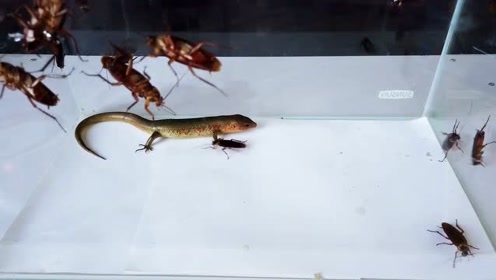 腾讯视频