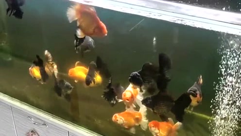 腾讯视频