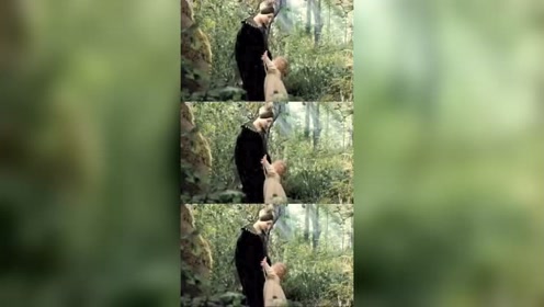 你是我的仙女教母 腾讯视频