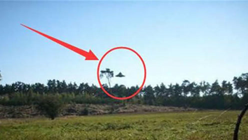 40年来最清晰UFO照片出炉？事件过程跌宕起伏，专家都没想到
