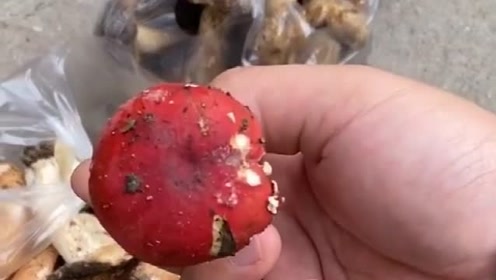 手摇铝杆伞 腾讯视频