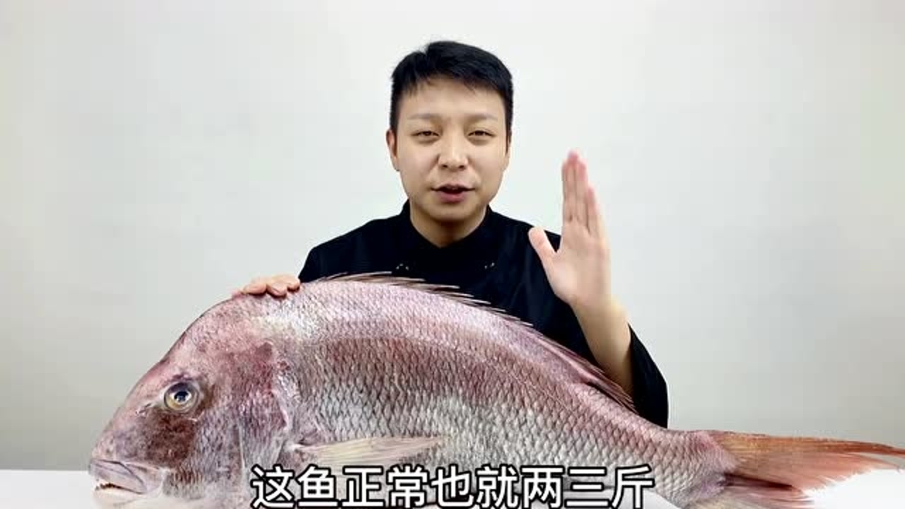 真鲷鱼 鲷科真鲷属动物 搜狗百科