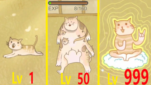 腾讯视频