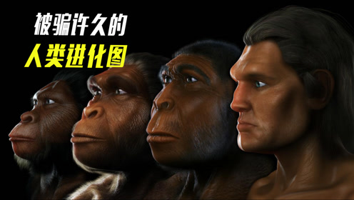 大多数人都会看错的一张图,人类的进化历程,真的是这样吗?