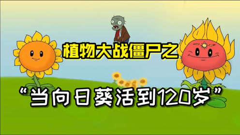 潮弟解说:植物大战僵尸中的向日葵活到了120岁,成为了植物界的战神!