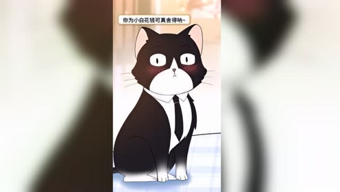 ç™½çŒ«ç™½ä¸€èˆª è…¾è®¯è§†é¢'