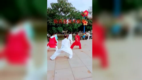 陈氏二十八式 腾讯视频
