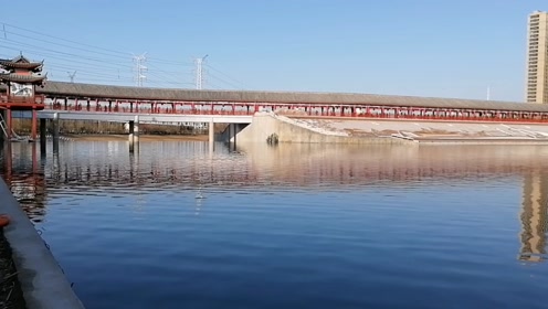 郑州蝶湖森林公园之鹊桥长廊,新晋网红打卡圣地,情侣的纪念桥