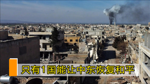 中东土豪家的宠物 腾讯视频