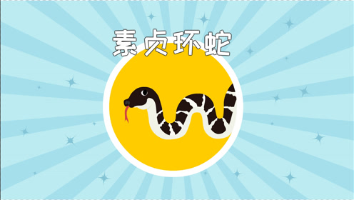 素贞环蛇是一种新发现的神经毒类剧毒蛇