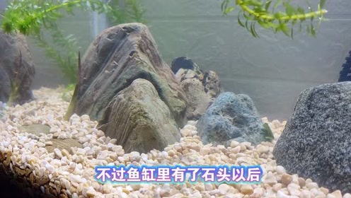 腾讯视频
