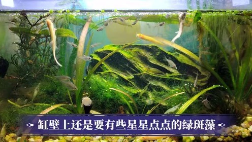 腾讯视频