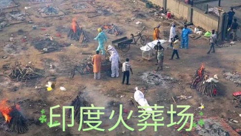 我在火葬场那些年 在线收听有声小说免费下载 喜马拉雅手机版