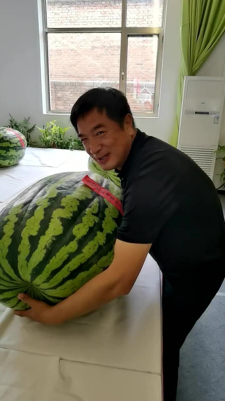 这么大的西瓜,一个人根本搬不动,也不知道熟没熟!