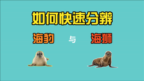 腾讯视频