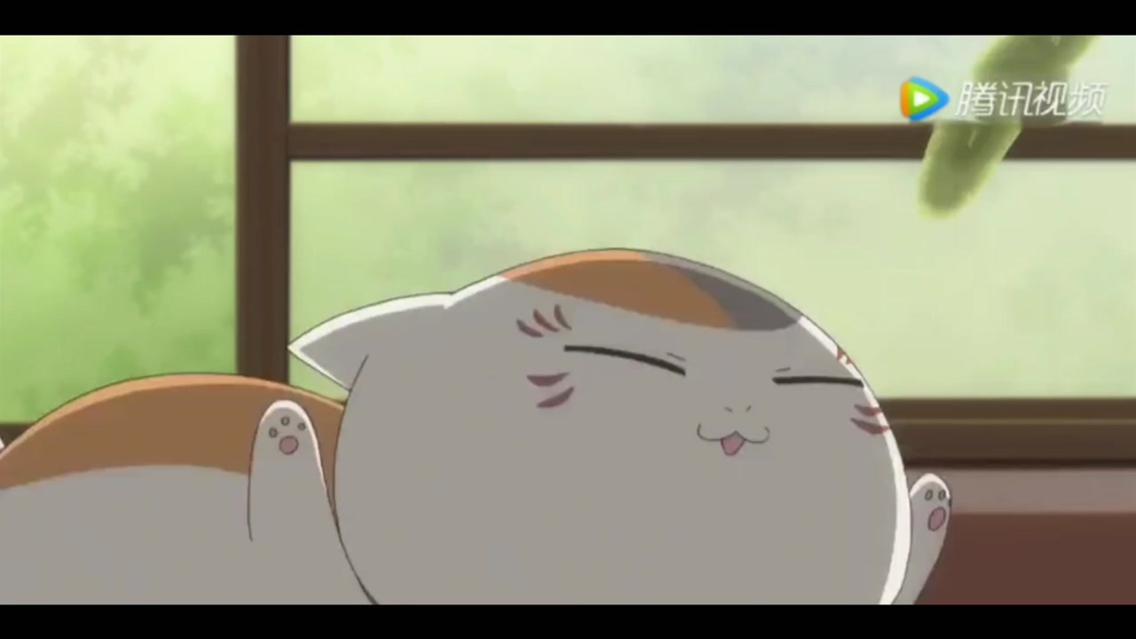 霸气与可爱并存的猫咪三三#夏目友人帐